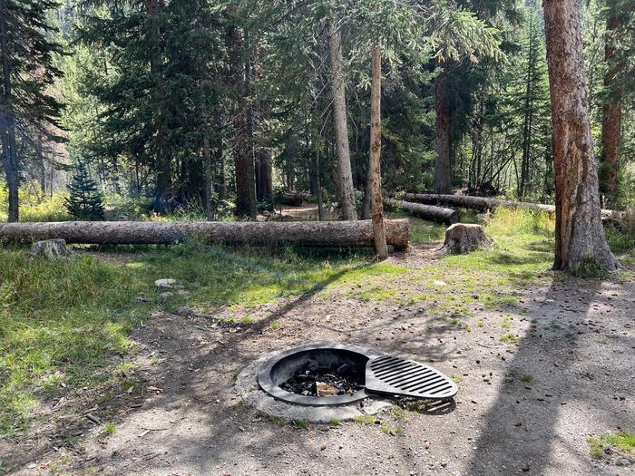 A photo of Site 18 of Loop COBBL at Cobblerest Campground with Fire Pit