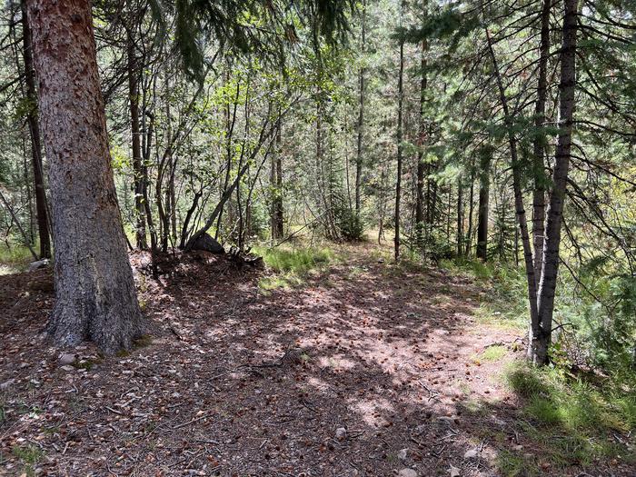 A photo of Site 18 of Loop COBBL at Cobblerest Campground with No Amenities Shown