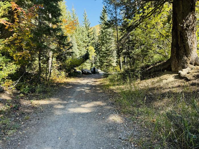 A photo of Site 057 of Loop SPIKE CAMP. Area B at GRANITE FLAT (UTAH)  with Picnic Table