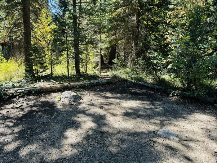 A photo of Site 057 of Loop SPIKE CAMP. Area B at GRANITE FLAT (UTAH)  with Picnic Table