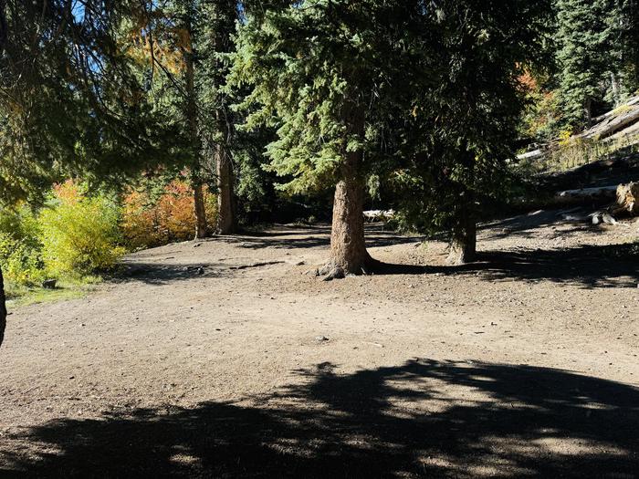 A photo of Site SANDWAGON of Loop GROUP at GRANITE FLAT (UTAH)  with Picnic Table