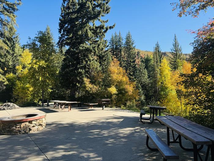 A photo of Site SANDWAGON of Loop GROUP at GRANITE FLAT (UTAH)  with Picnic Table