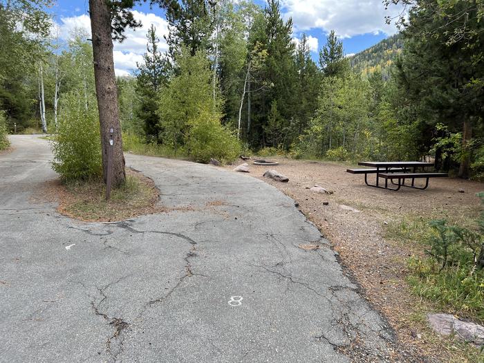 A photo of Site 8 of Loop SHADY at Shady Dell Campground with Picnic Table