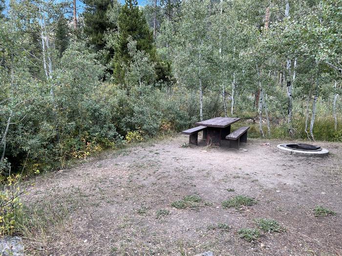 A photo of Site 4 of Loop SHADY at Shady Dell Campground with Picnic Table, Fire Pit