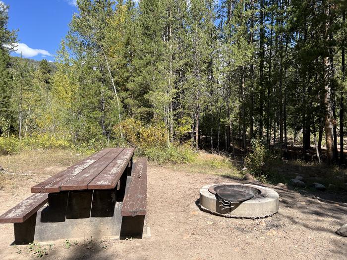 A photo of Site 019 of Loop Loop A  at SOAPSTONE with Picnic Table, Fire Pit