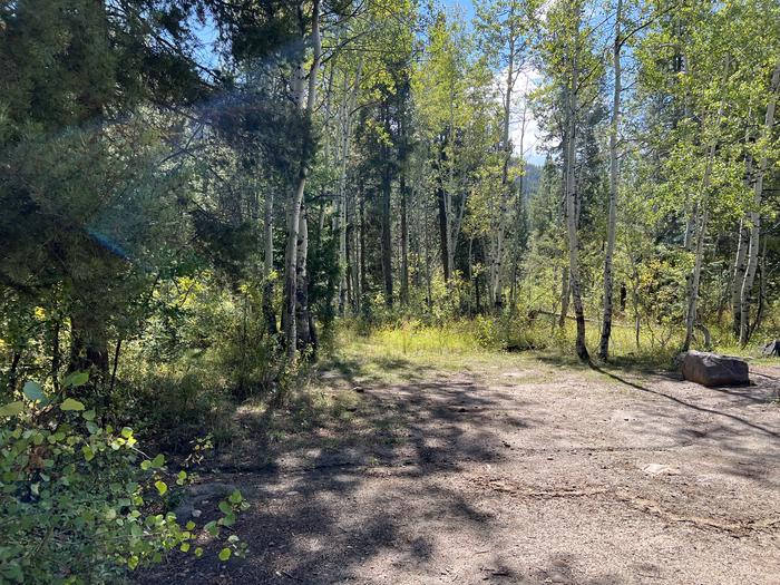 A photo of Site 019 of Loop Loop A  at SOAPSTONE with No Amenities Shown