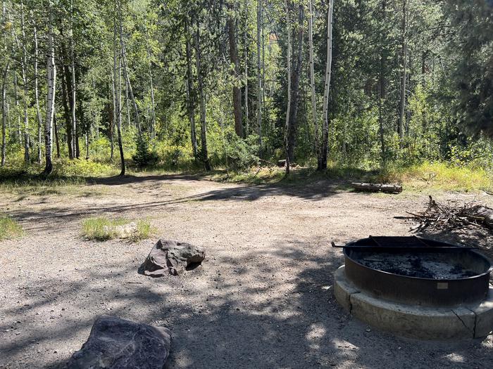 A photo of Site 030 of Loop Loop B at SOAPSTONE with Fire Pit