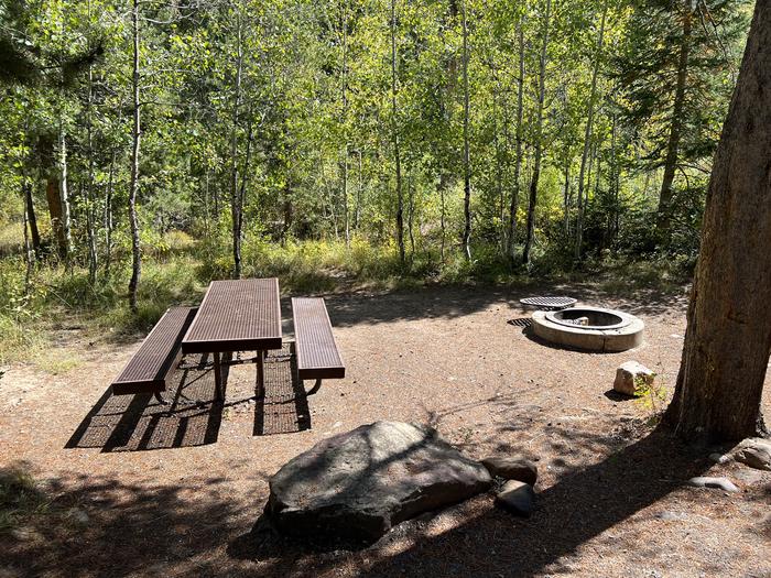 A photo of Site 024 of Loop Loop B at SOAPSTONE with Picnic Table, Fire Pit