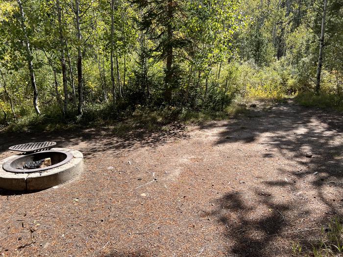 A photo of Site 024 of Loop Loop B at SOAPSTONE with Fire Pit