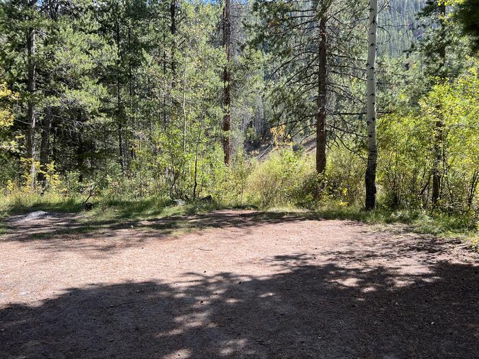 A photo of Site 017 of Loop Loop A  at SOAPSTONE with No Amenities Shown