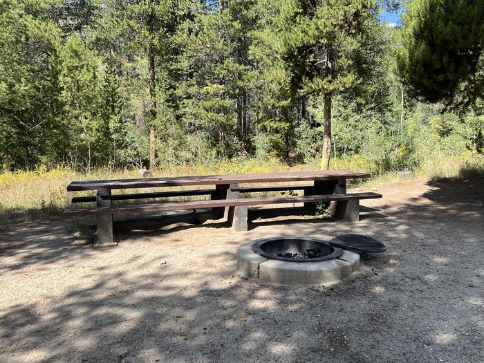 A photo of Site 014 of Loop Loop A  at SOAPSTONE with Picnic Table, Fire Pit