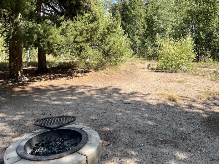 A photo of Site 014 of Loop Loop A  at SOAPSTONE with Fire Pit