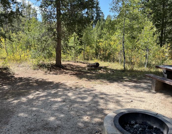 A photo of Site 014 of Loop Loop A  at SOAPSTONE with Fire Pit