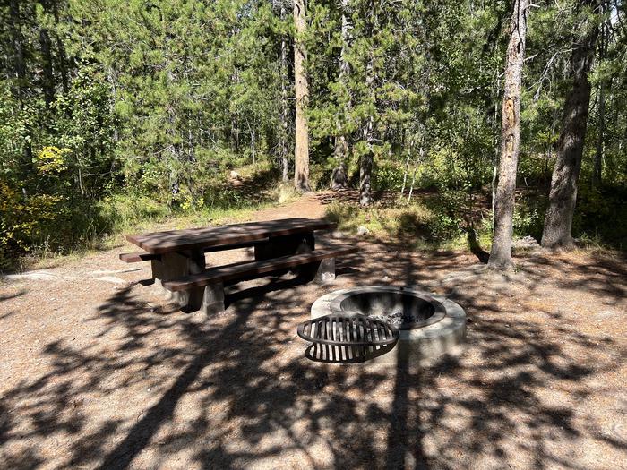 A photo of Site 025 of Loop Loop B at SOAPSTONE with Picnic Table, Fire Pit