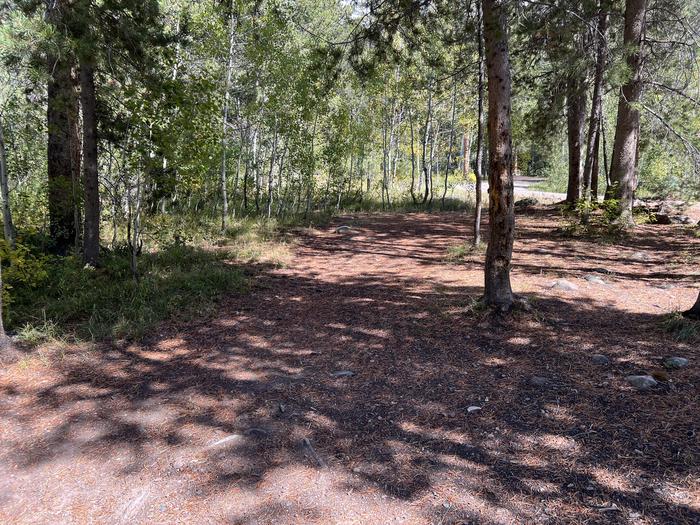 A photo of Site 025 of Loop Loop B at SOAPSTONE with No Amenities Shown