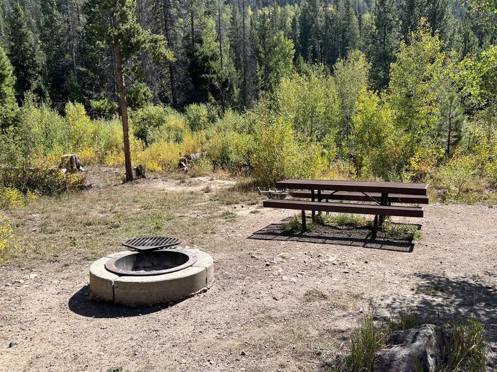 A photo of Site 015 of Loop Loop A  at SOAPSTONE with Picnic Table, Fire Pit