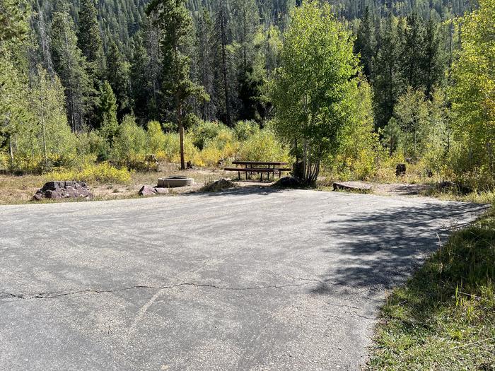 A photo of Site 015 of Loop Loop A  at SOAPSTONE with Picnic Table, Fire Pit