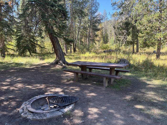 A photo of Site 4 of Loop LPROVO at Lower Provo Campground with Picnic Table, Fire Pit