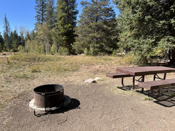 A photo of Site 6 of Loop LPROVO at Lower Provo Campground with Picnic Table, Fire Pit