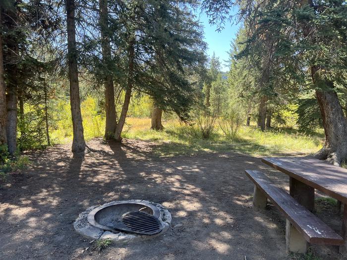 A photo of Site 4 of Loop LPROVO at Lower Provo Campground with Picnic Table, Fire Pit