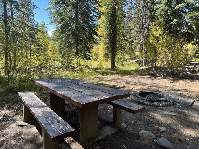 A photo of Site 9 of Loop LPROVO at Lower Provo Campground with Picnic Table, Fire Pit