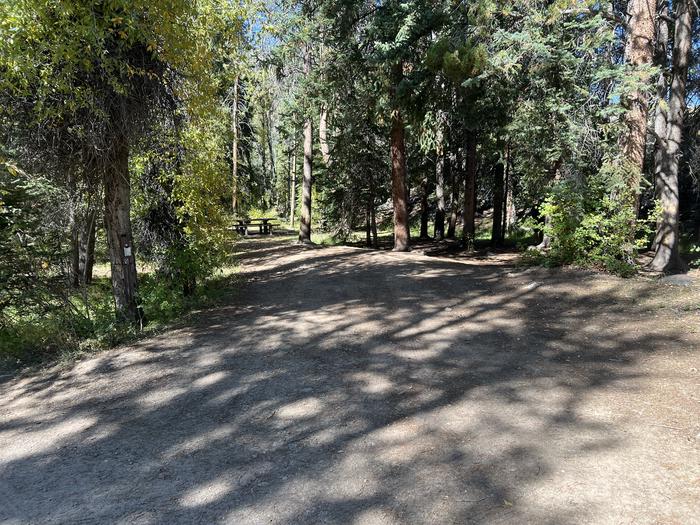 A photo of Site 9 of Loop LPROVO at Lower Provo Campground with No Amenities Shown