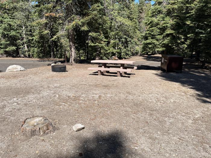 Overview of campsite with amenities: bear box, fire ring, and picnic tableOverview of campsite