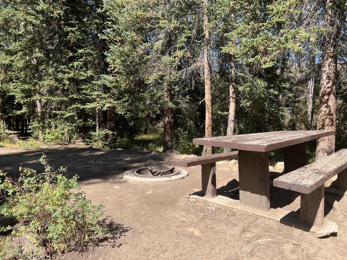 A photo of Site 8 of Loop LPROVO at Lower Provo Campground with Picnic Table, Fire Pit