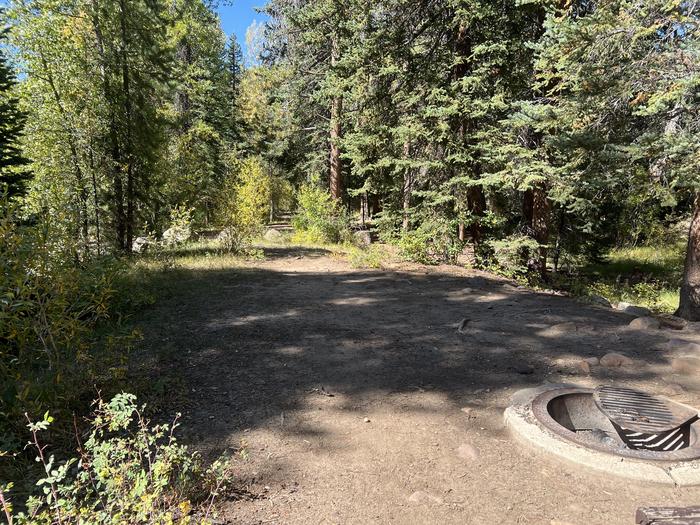 A photo of Site 8 of Loop LPROVO at Lower Provo Campground with Fire Pit