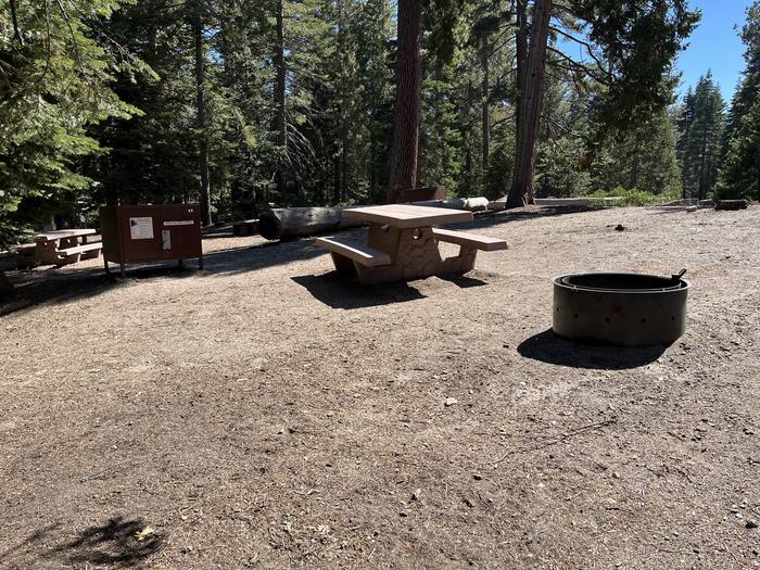 Overview of campsite with bear box, fire ring, picnic table, and nearby campsite in rearOverview of campsite