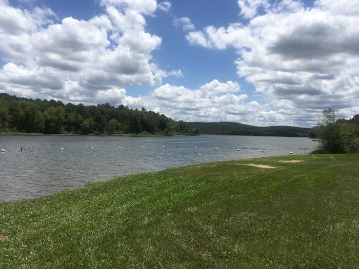 Swimming AreaSwimming Area with lawn for relaxation and water fun! 