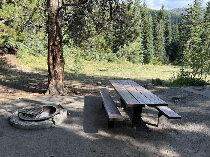 A photo of Site 029 of Loop SMIT at SMITH AND MOREHOUSE with Picnic Table, Fire Pit