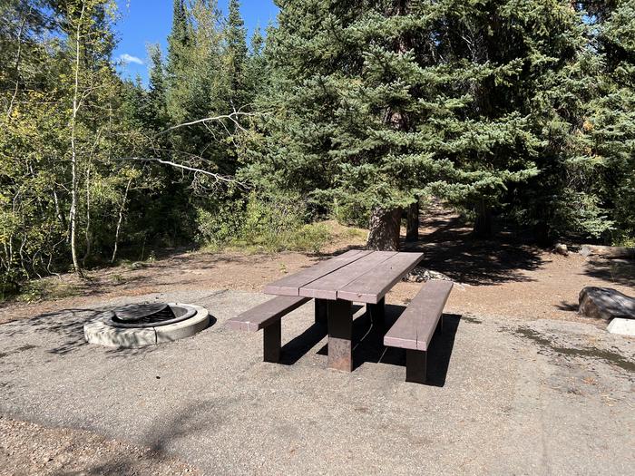 A photo of Site 011 of Loop SMIT at SMITH AND MOREHOUSE with Picnic Table, Fire Pit