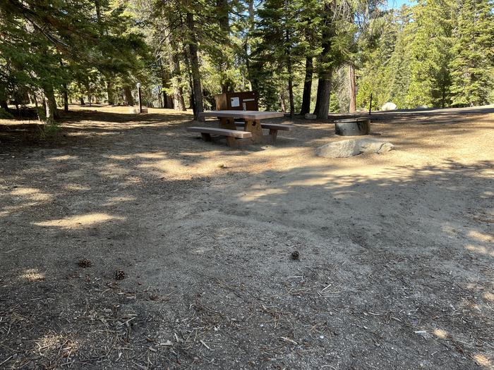 Tent pad clearing with bear box, fire ring, picnic table with trees and water faucet in backgroundTent pad clearing