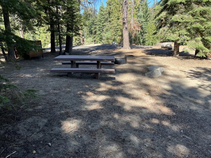 Rear side of campsite with bear box, picnic table, and fire ringRear side of campsite