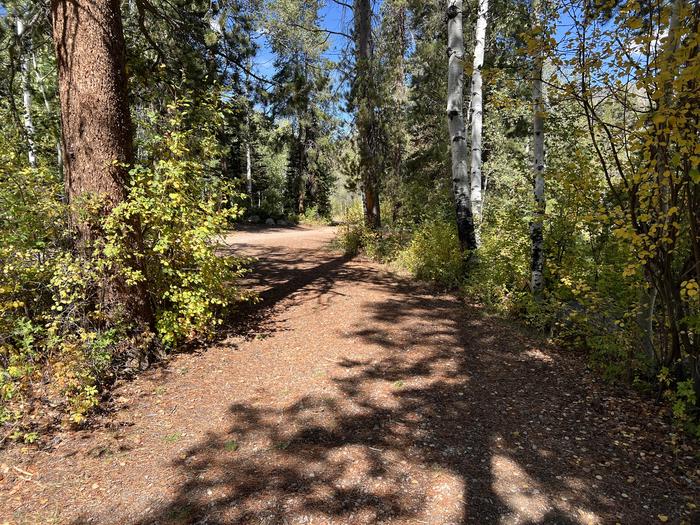 A photo of Site 7 of Loop SHINGL at Shingle Creek ATV Campground with No Amenities Shown