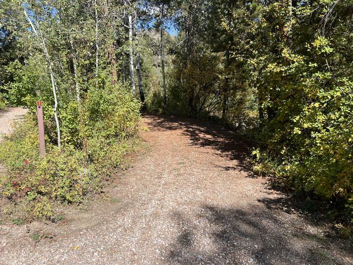 A photo of Site 7 of Loop SHINGL at Shingle Creek ATV Campground with No Amenities Shown