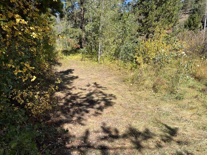 A photo of Site 7 of Loop SHINGL at Shingle Creek ATV Campground with No Amenities Shown