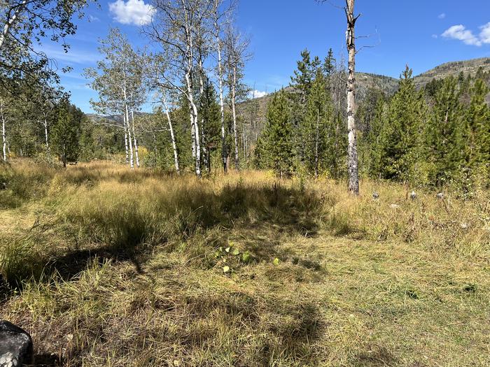 A photo of Site 13 of Loop SHINGL at Shingle Creek ATV Campground with No Amenities Shown