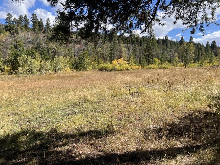 A photo of Site 17 of Loop SHINGL at Shingle Creek ATV Campground with No Amenities Shown