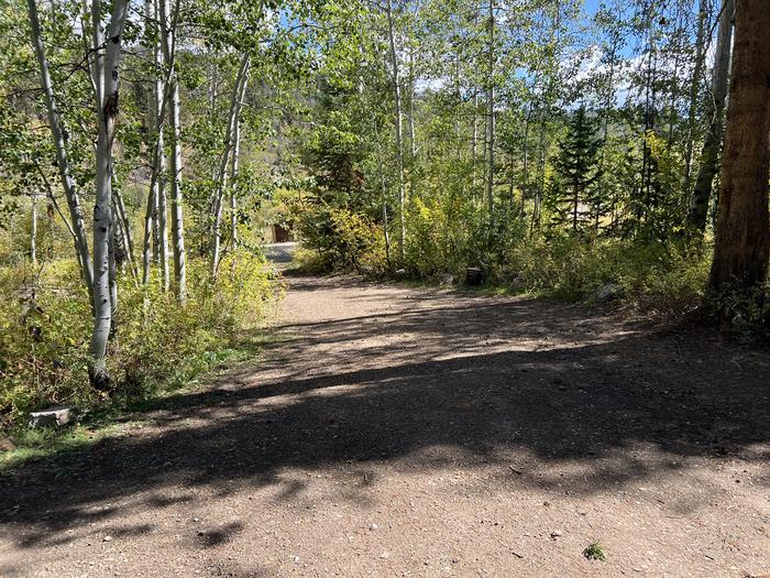 A photo of Site 25 of Loop SHINGL at Shingle Creek ATV Campground with No Amenities Shown