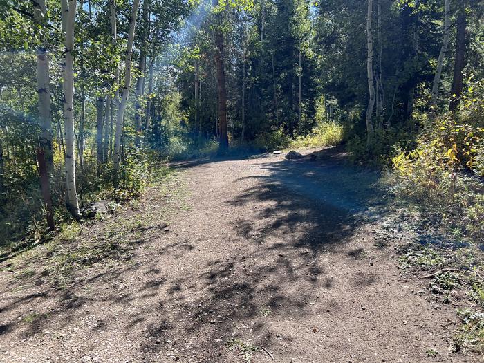 A photo of Site 25 of Loop SHINGL at Shingle Creek ATV Campground with No Amenities Shown