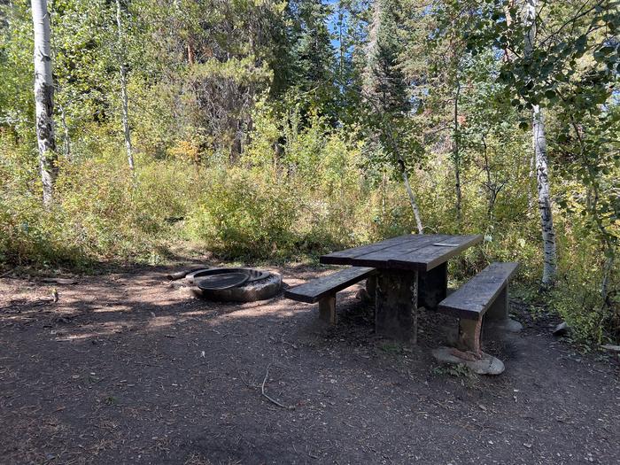 A photo of Site 25 of Loop SHINGL at Shingle Creek ATV Campground with Picnic Table, Fire Pit