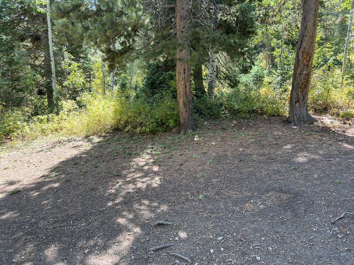 A photo of Site 25 of Loop SHINGL at Shingle Creek ATV Campground with No Amenities Shown