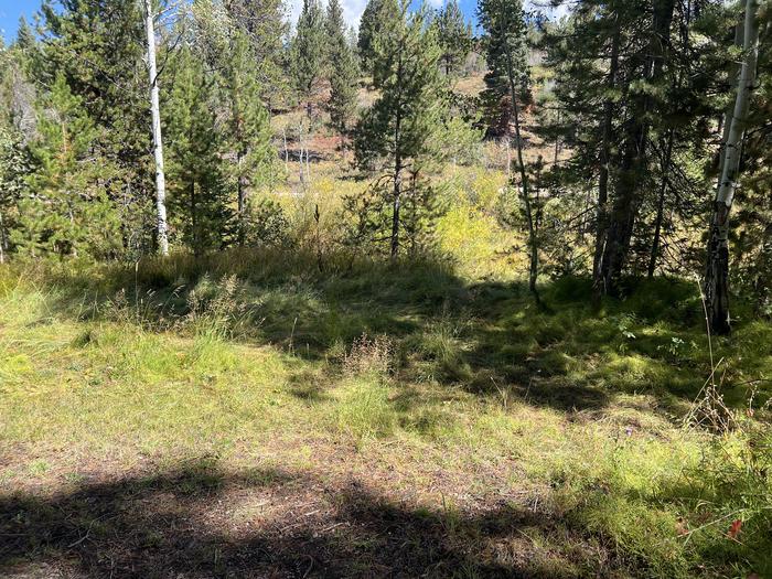 A photo of Site 9 of Loop SHINGL at Shingle Creek ATV Campground with No Amenities Shown