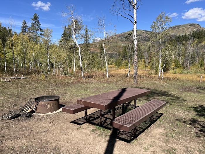 A photo of Site 14 of Loop SHINGL at Shingle Creek ATV Campground with Picnic Table, Fire Pit