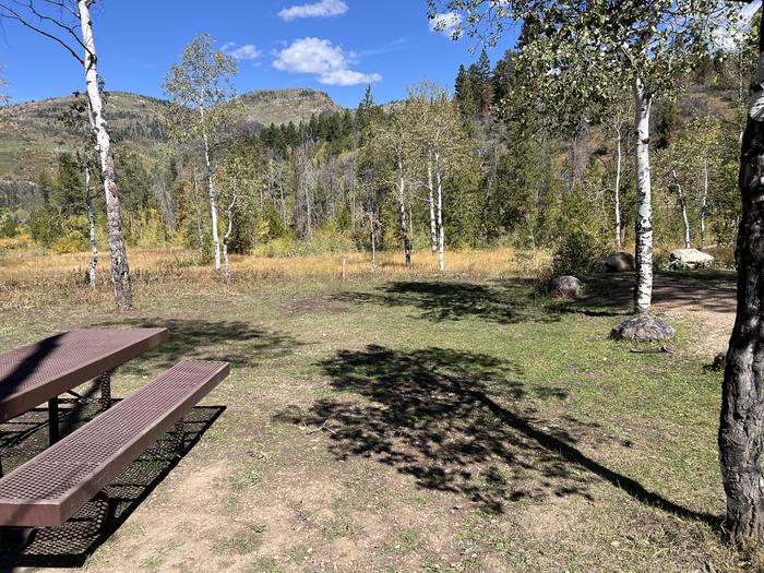 A photo of Site 14 of Loop SHINGL at Shingle Creek ATV Campground with Picnic Table