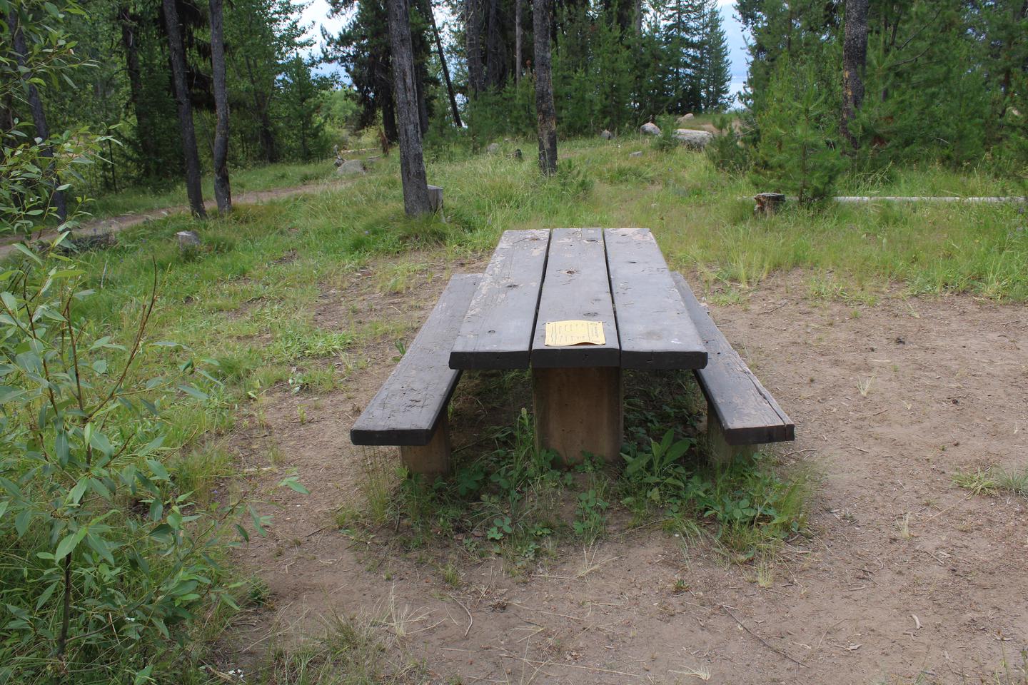 Picnic table Site picnic table