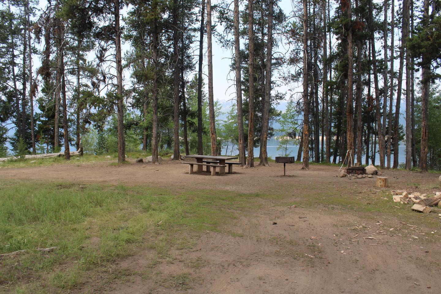 Site picnic table and fire ring in front of treesSite picnic table and fire ring