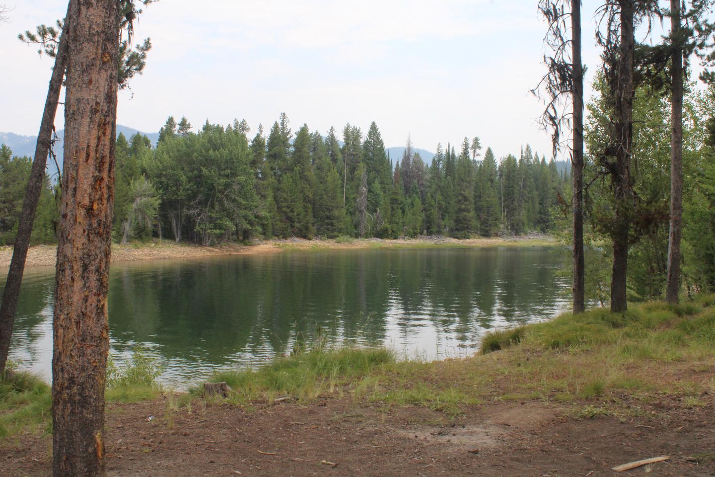 View of Deadwood River from campsite